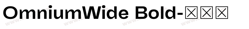 OmniumWide Bold字体转换 OmniumWide Bold字体转换